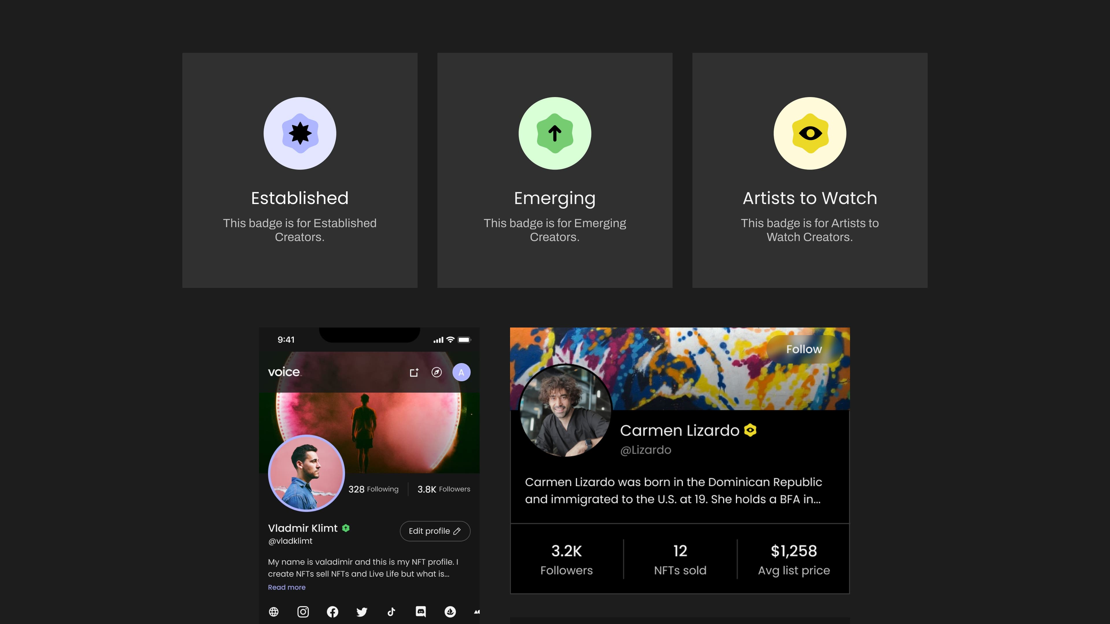Voice Project Image 4